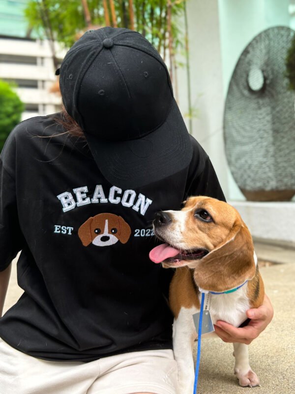 Campus Paw Collection