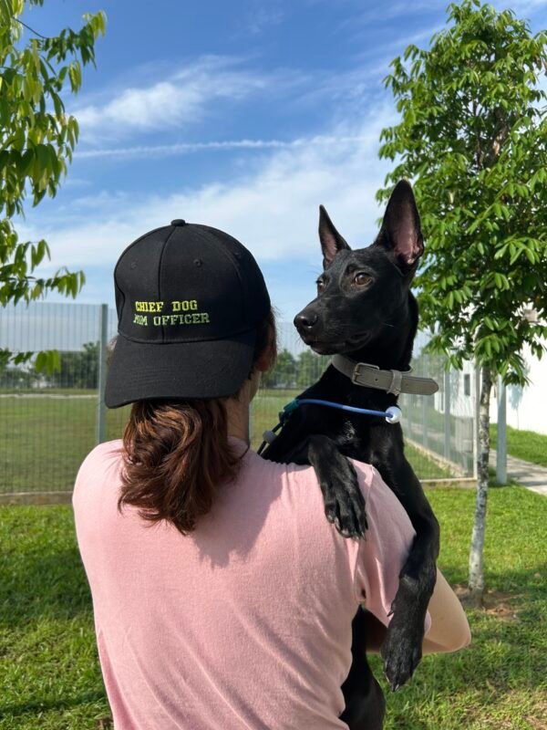 Chief Dog Mum Officer Baseball Cap