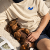 Owned By A Dachshund Oversized T Shirt