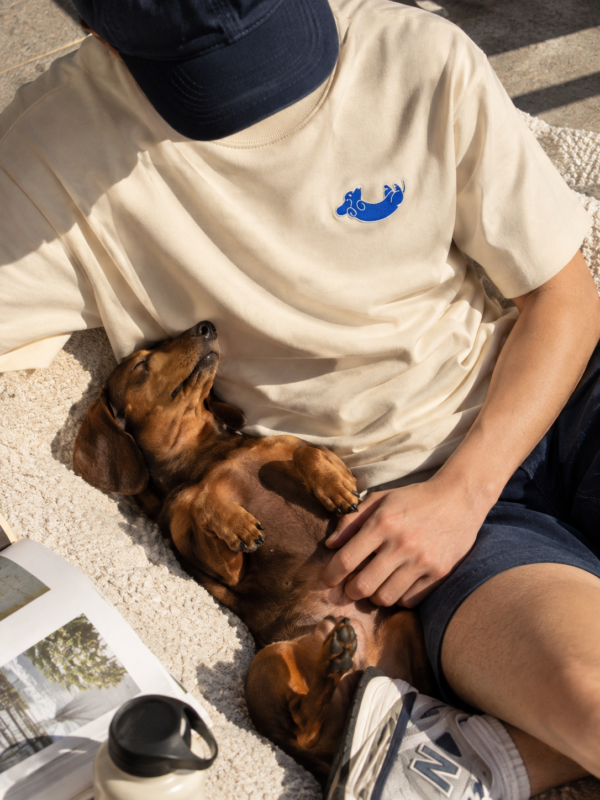 Owned By A Dachshund Oversized T Shirt