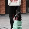 Space Pet Club Beige Tote The Certified Slave Series